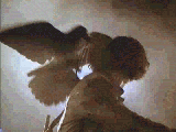 crowjava.gif (262246 bytes)
