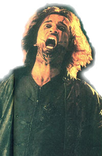fang3.jpg (20907 bytes)