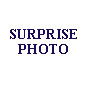 surprisefoto.jpg (6605 bytes)