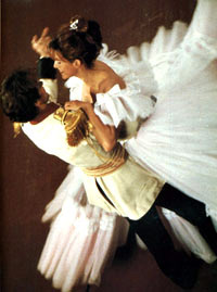 afprem2931s.jpg (18871 bytes)