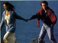 afprem2933.jpg (12663 bytes)